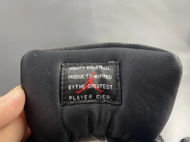 1st Kicks JORDAN AR0715-010 ANIMAL INSTINCT 11 AIR 0808